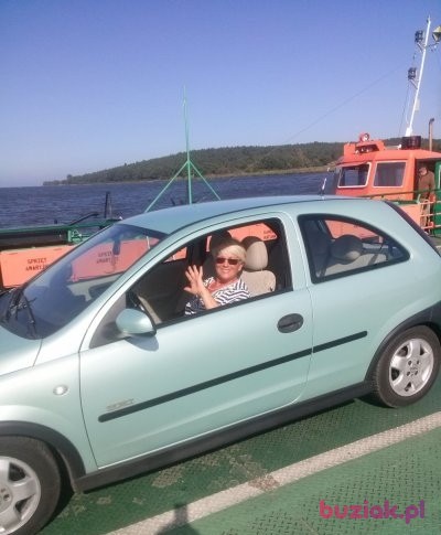 Iga, Kobieta, 73, Gdańsk, Polska, Zdjęcie: 1