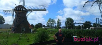 Maciek, Male, 37, Rotterdam South Holland Province, Holandia, Photo: 9