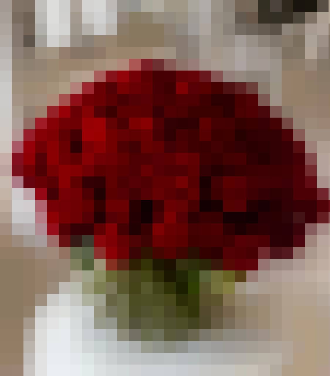 Adam, Mężczyzna, 50, Gothenburg Vastra Gotaland County West Coast, Szwecja, Zdjęcie: 2