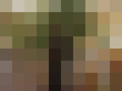 witek34, Male, 44, Ostrowiec Swiętokrzyski, Polska: 1