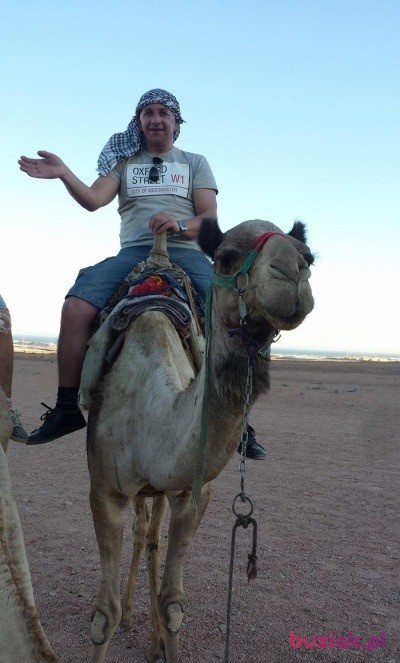 Jan, Male, 53, Wielka Brytania, Photo: 6