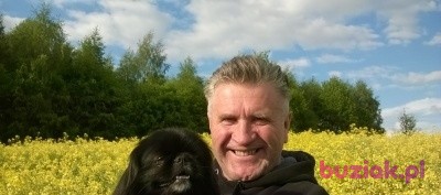 jozef, Mężczyzna, 65, Zamość, Polska, Zdjęcie: 1
