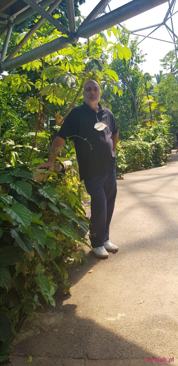 sati, Mężczyzna, 70, Westminster, Wielka Brytania: 1
