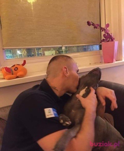 Daniel, Male, 37, Wielka Brytania, Photo: 8