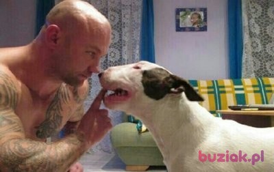 zwyklypolskifac, Male, 45, Wielka Brytania, Photo: 3