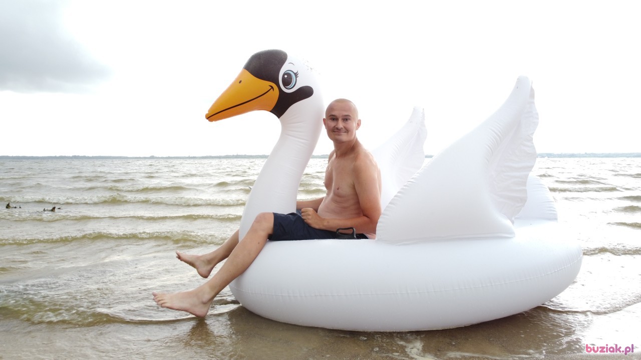 Michał, Mężczyzna, 36, Zgierz, Polska, Zdjęcie: 523