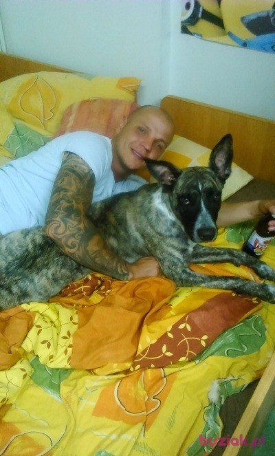 Ragnar91, Mężczyzna, 34, Staszów, Polska, Zdjęcie: 3