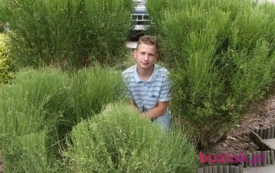 Mateusz, Mężczyzna, 31, Drezdenko, Polska, Zdjęcie: 4