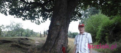 Bogdan, Mężczyzna, 58, Polska, Zdjęcie: 3