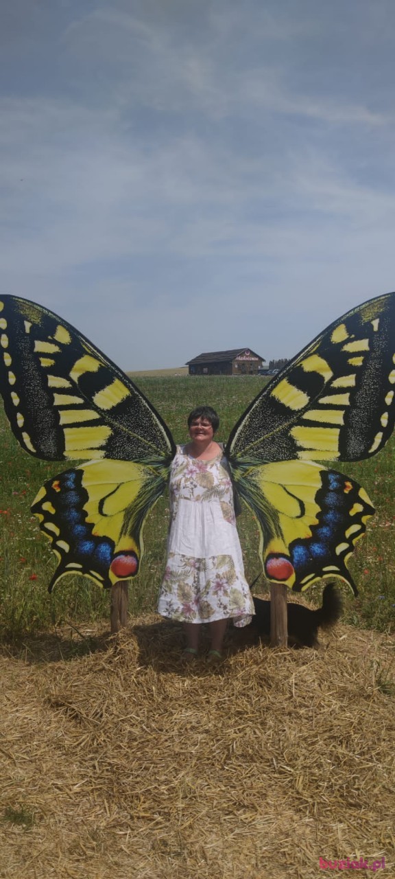 Iwa, Kobieta, 52, Frankfurt, Niemcy: 1