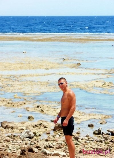Kamil, Male, 35, Wielka Brytania: 1