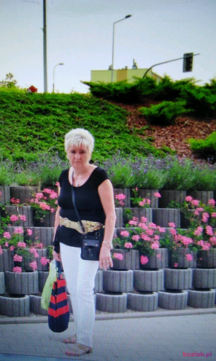 Wioletta, Kobieta, 69, Wrocław, Polska: 1