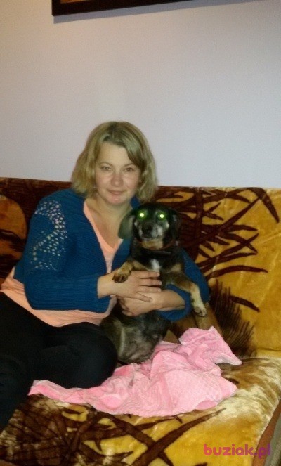 Iwona, Kobieta, 45, Mysłowice, Polska, Zdjęcie: 3