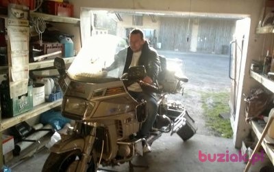 karol, Male, 41, Wolsztyn, Polska: 1