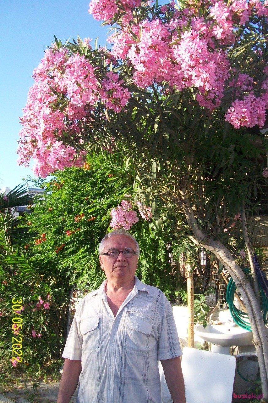 Jerzy, Male, 76, Rybnik, Polska, Photo: 6