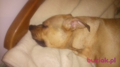Michał, Male, 37, Lublin, Polska, Photo: 4