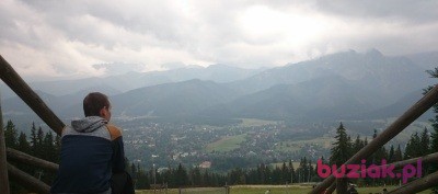 Aleksander, Mężczyzna, 34, Rotterdam South Holland Province, Holandia, Zdjęcie: 5