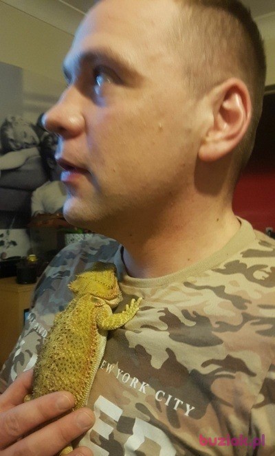 Pawel , Mężczyzna, 42, Bournemouth Dorset England, Wielka Brytania, Zdjęcie: 3