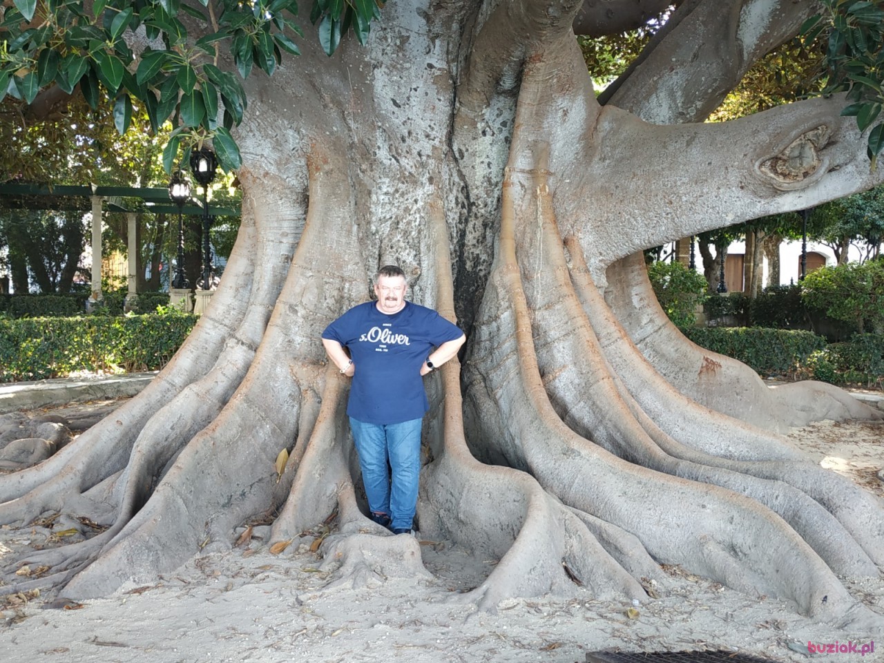 Bernard, Male, 67, Hannover, Niemcy, Photo: 1