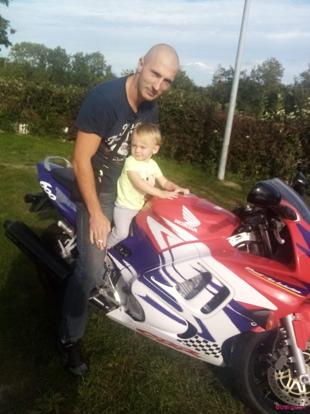 Kamil, Mężczyzna, 33, Rotterdam South Holland Province, Holandia: 1