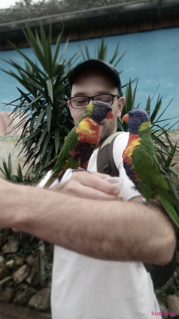 Łukasz, Male, 37, Apeldoorn, Holandia, Photo: 1