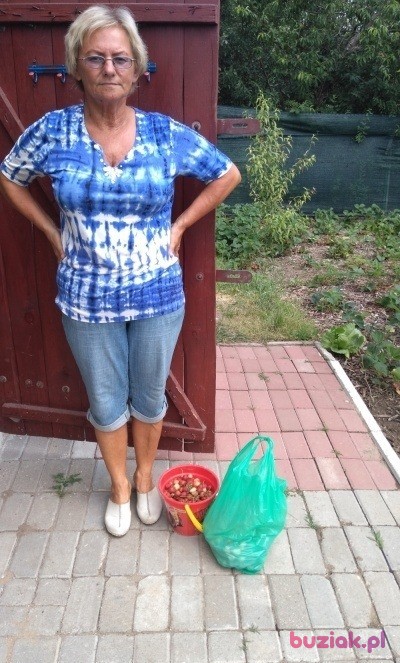 Halina, Female, 64, Brzeg Dolny, Polska, Photo: 5