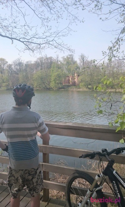 Adam, Male, 42, Poznań, Polska, Photo: 5