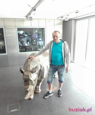 PAWEL, Mężczyzna, 43, 's-Hertogenbosch, Holandia, Zdjęcie: 4