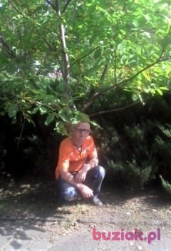 Mariusz, Mężczyzna, 46, Częstochowa, Polska, Zdjęcie: 8