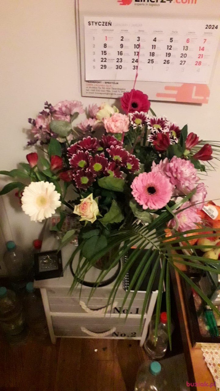 Robert, Mężczyzna, 50, Haarlem North Holland Province, Holandia, Zdjęcie: 7