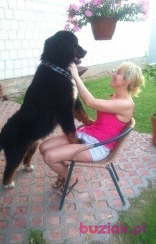 Izabela, Kobieta, 47, Białystok, Polska, Zdjęcie: 1