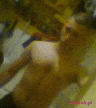 michał, Male, 27, Brwinów, Polska, Photo: 2
