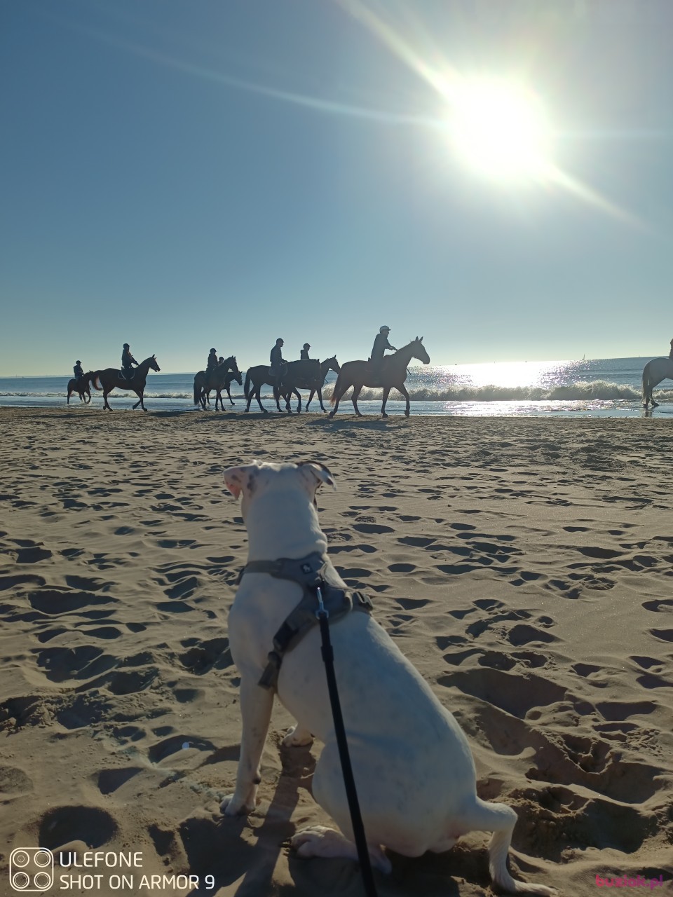 Tomek, Male, 48, Racibórz, Polska, Photo: 2