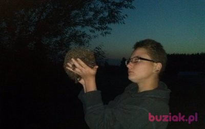 Anka, Female, 28, Biłgoraj, Polska: 1