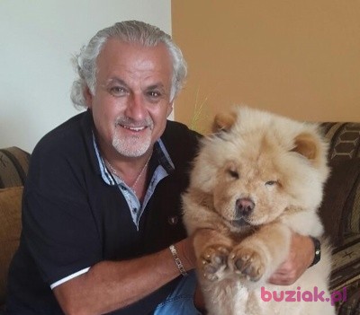 franco, Male, 66, Kolding, Dania, Dania, Photo: 1