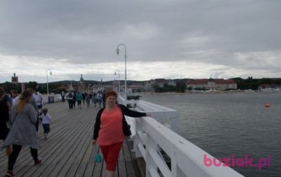 Małgorzata, Female, 53, Mysłowice, Polska, Photo: 4