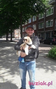 Piotr, Mężczyzna, 37, Rotterdam South Holland Province, Holandia, Zdjęcie: 1