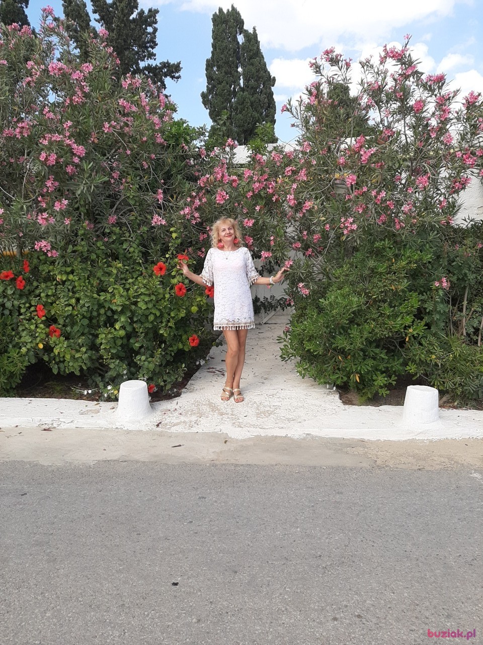 Zuzia, Kobieta, 61, Lublin, Polska, Zdjęcie: 3