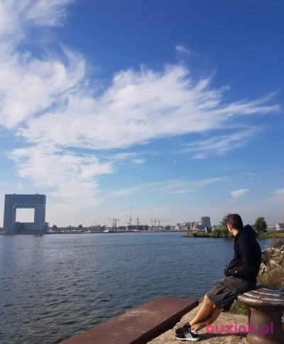 Oskar, Male, 35, Nijmegen, Holandia, Photo: 2