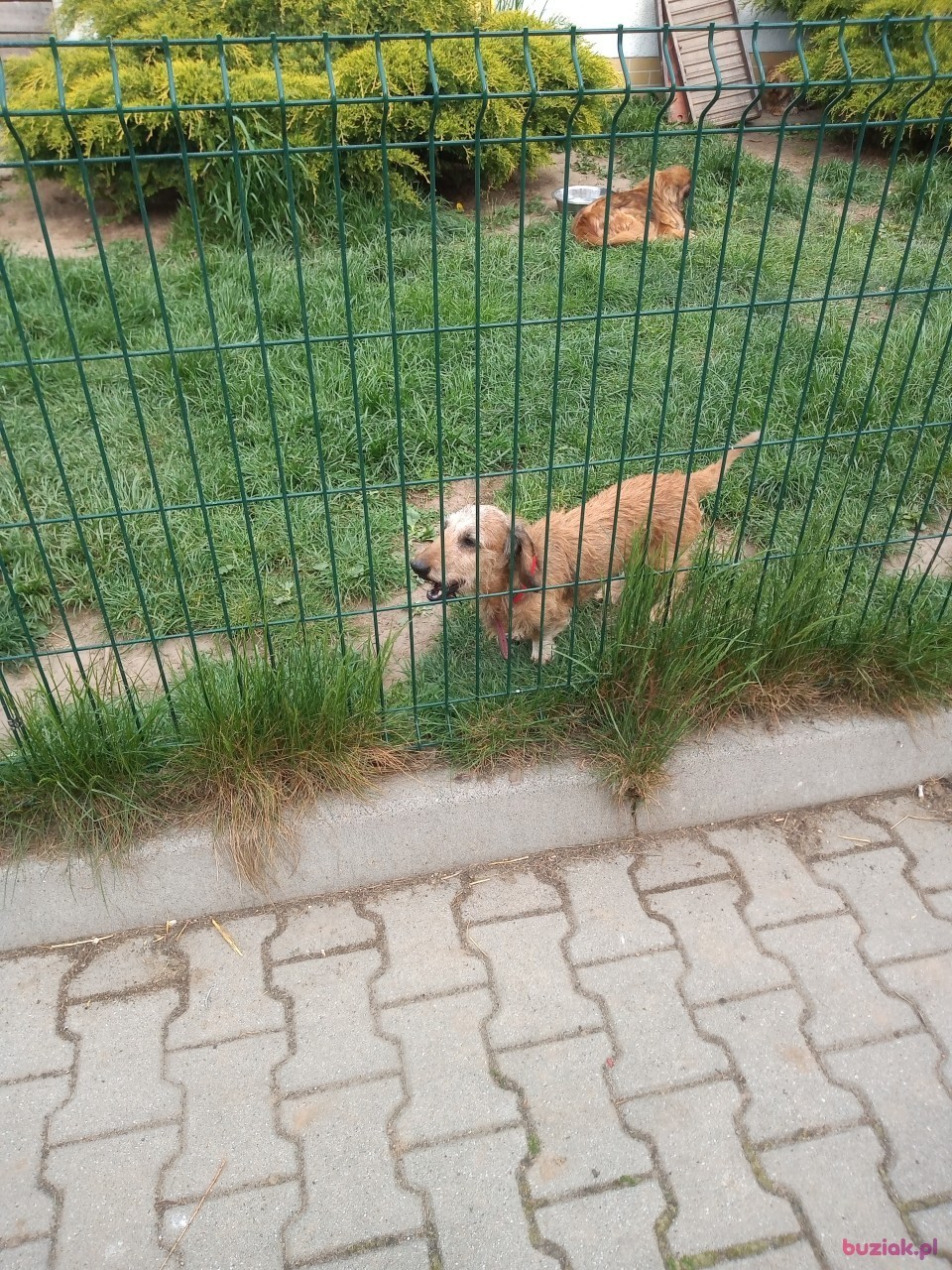 JACEK, Mężczyzna, 51, Wrocław, Polska, Zdjęcie: 7