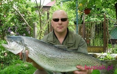 Miłosław,, Mężczyzna, 62, Białogard, Polska, Zdjęcie: 1