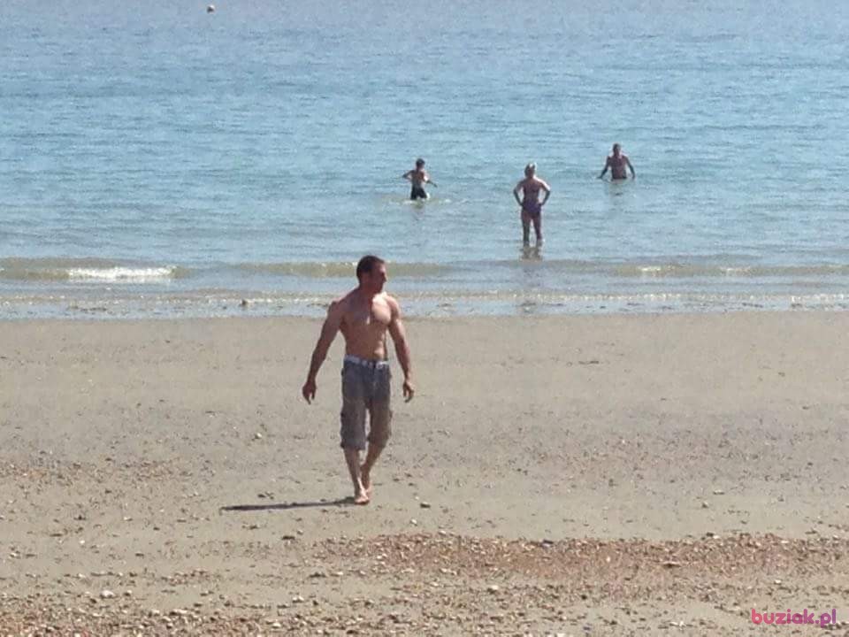 Labedz, Mężczyzna, 46, Poznań, Polska: 1