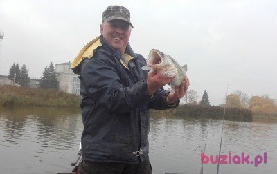 Wojtek, Male, 50, Reda, Polska, Photo: 5