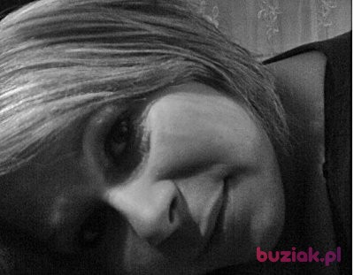Izabela, Kobieta, 38, Polska, Zdjęcie: 1