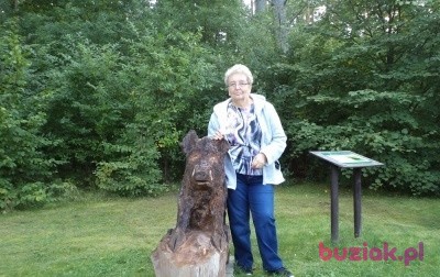 zofia, Female, 77, Szczytno, Polska, Photo: 1