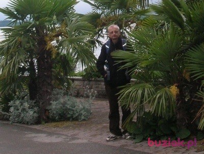 Ryszard, Mężczyzna, 70, Kraśnik, Polska, Zdjęcie: 2