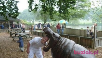 CarlosKarol, Male, 39, Wielka Brytania, Photo: 3