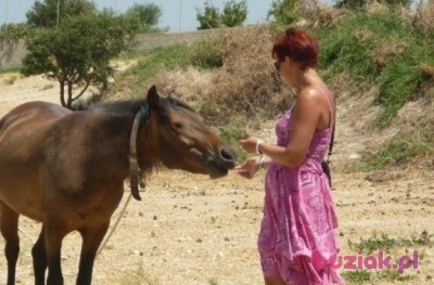ewa, Female, 60, Katowice, Polska, Photo: 4