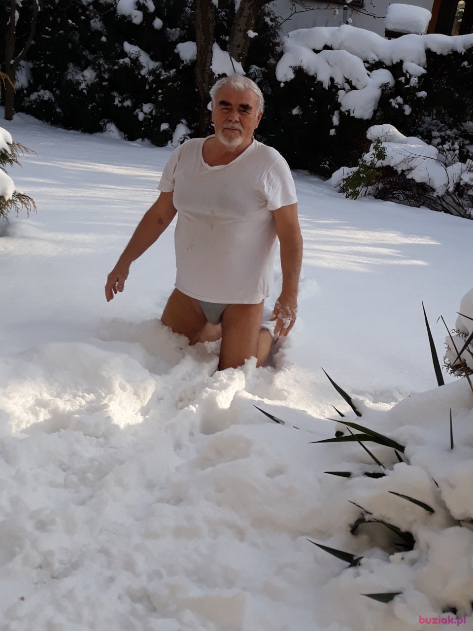 Ernestyn, Mężczyzna, 78, Bielsko-Biała, Polska: 1