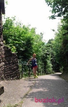 malgorzata, Kobieta, 46, Kłobuck, Polska, Zdjęcie: 2